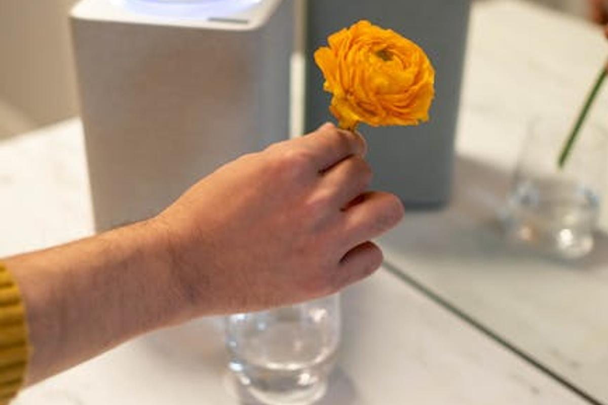 Best Smart Home Speakers For Music