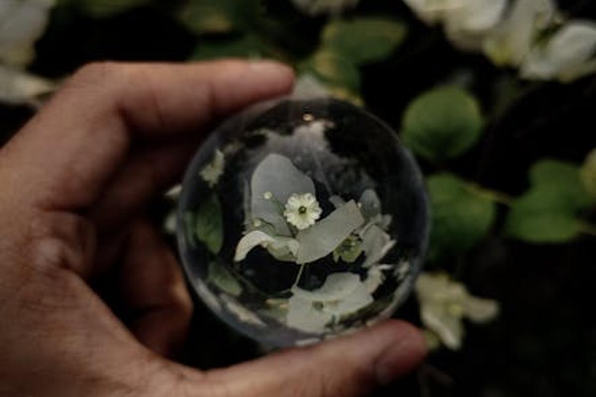 Image 2 for iPhone 16 Pro review: Is it worth the upgrade?